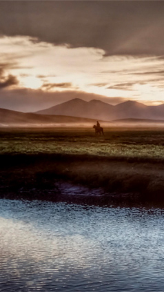 Matthieu Ricard